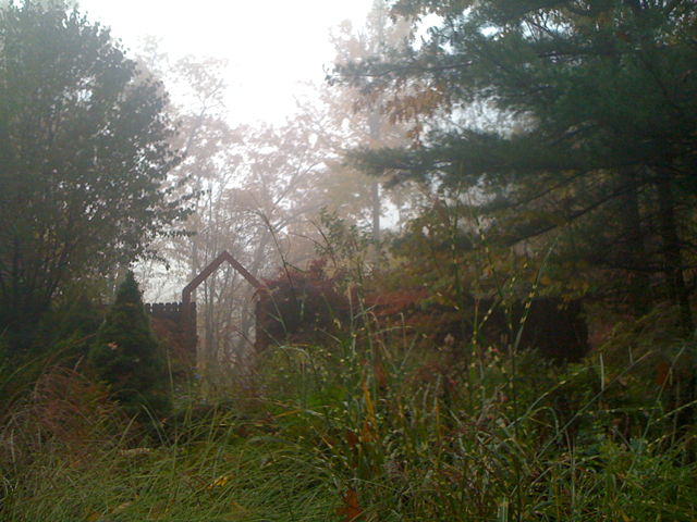 Herb Garden in the Mist image