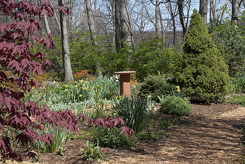 Herb Garden in April