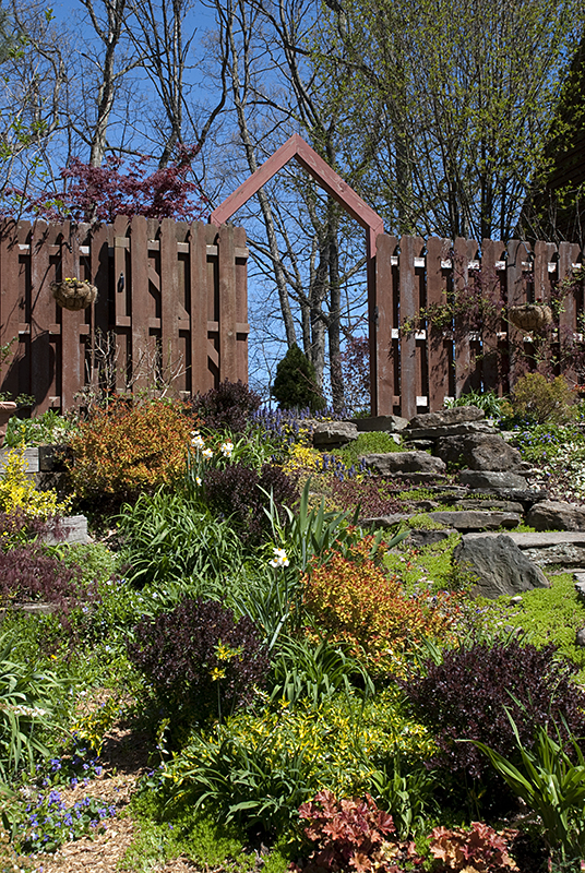 Up the April Hillside