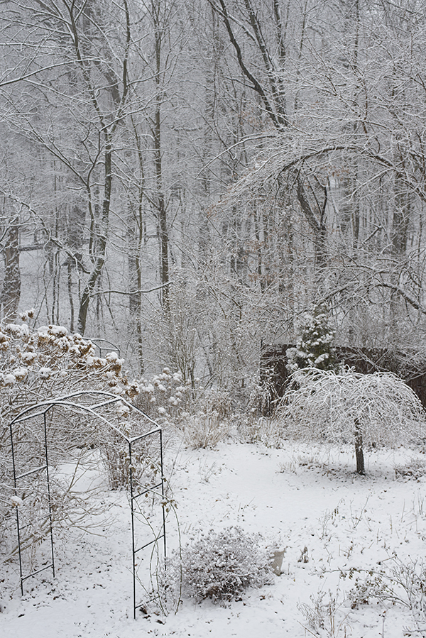 February snow in the lower garden