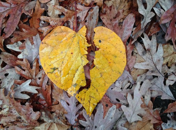 heartleaf