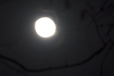 supermoonwp