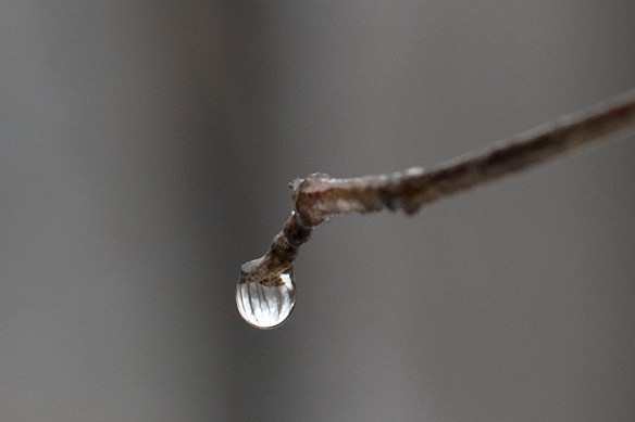 waterdrop