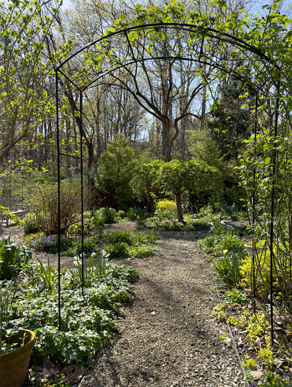 April arbor