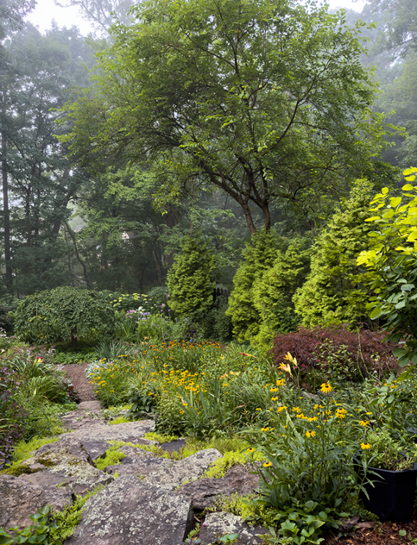 stone steps in the mist